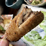 季節一品料理 藤原 - 手羽塩