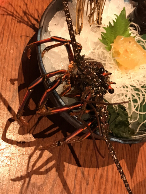 ざうお 鈴鹿店 平田町 魚介料理 海鮮料理 食べログ