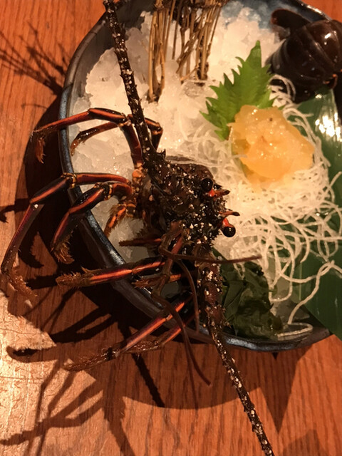 ざうお 鈴鹿店 平田町 魚介料理 海鮮料理 食べログ ざうお 鈴鹿店 平田町 魚介料理 海鮮料理 食べログ
