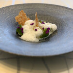 クイントカント - 