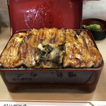 Unagi Irokawa - 