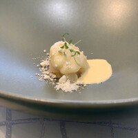 クイントカント - 