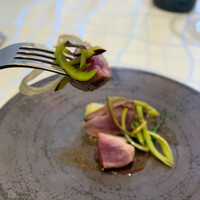 クイントカント - 