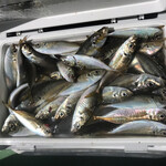 梅や - クーラー満タンでした！