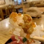 海鮮丼専門店 伊助 - 雲丹とイクラ