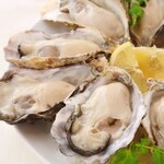 The Oyster Bar Kobe - 