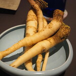 プレゼンテ スギ - はま大根の根