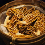 プレゼンテ スギ - アミガサダケ