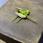 プレゼンテ スギ - はま大根の実とボラの子供の煮干し