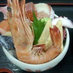 Sushigohambamba - 