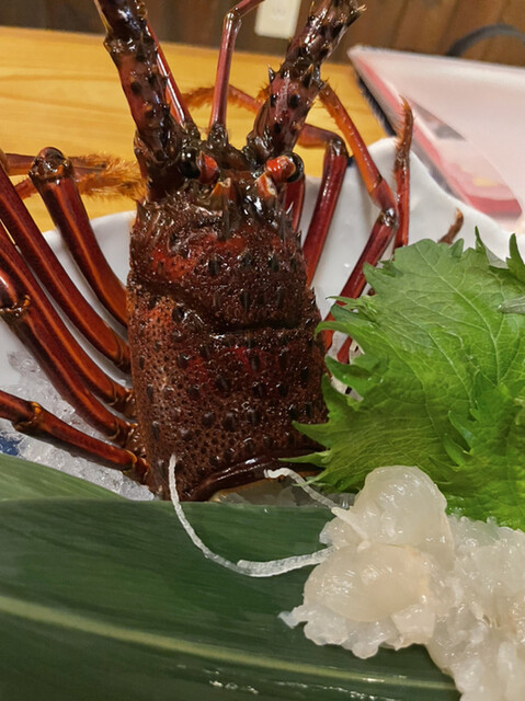 ざうお 小牧店 小牧 魚介料理 海鮮料理 食べログ ざうお 小牧店 小牧 魚介料理 海鮮料理 食べログ