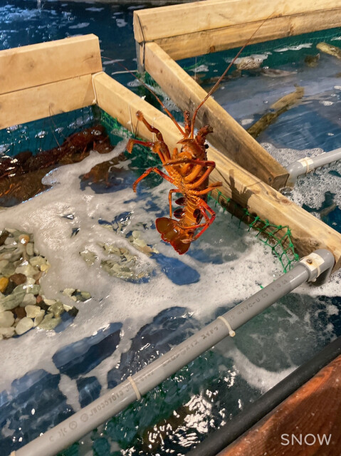 ざうお 小牧店 小牧 魚介料理 海鮮料理 食べログ ざうお 小牧店 小牧 魚介料理 海鮮料理 食べログ