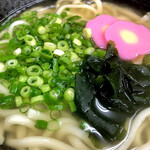 はなちゃんうどん  - かけうどん大盛りのアップ