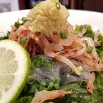 麺屋 六感堂 - 桜海老と生しらすのぶっかけ(温麺)