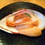 Koube Motomachi Tsukiji Wakou - 白貝