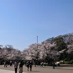 鰻割烹 伊豆栄 梅川亭 - 今年は宴会は禁止だそうです