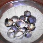 うなぎ割烹 きた八 - 焼ぎんなん（季節もの）　\580_