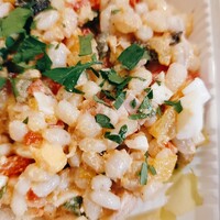 Osteria Tutto Sole - 大麦サラダ