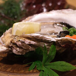 海鮮食堂 い志い 照葉 - 