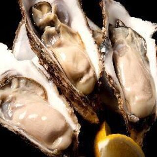 We purchase the best Oyster of the day, regardless of the brand of origin. Full of plump fruit that tastes good all year round.