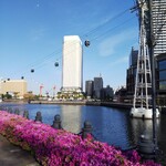 水信フルーツパーラー - 遊歩道のすぐ上空を通ってます。