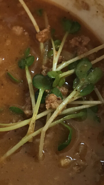 和風らーめん 凪 なぎ 鶴瀬 ラーメン 食べログ 和風らーめん 凪 なぎ 鶴瀬 ラーメン 食べログ