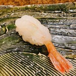 にぎり鮨 一五〇 - ぼたん海老