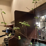 パッソ・ア・パッソ - 