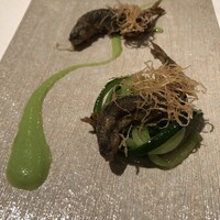 ジョンティ アッシュ - 