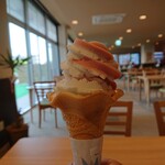 尾張温泉東海センター - ソフトアイスいちご&バニラ(300円)