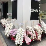 鮨 あらい - 4月3日祝移転開店