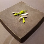 プレゼンテ スギ - ハマダイコンの種とボラの子