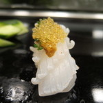 寿司 もり田 - 烏賊