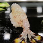 寿司 もり田 - 車海老