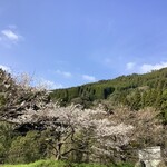 森のハンバーグ工房 ゆみさんち - 【2021年3月17日(水)】今年の桜は早咲きです。【駐車場から見た山の景色】