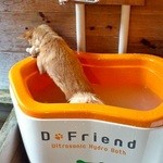 仔犬のワルツ - 客室露天風呂とペット用マイクロバブルのお風呂
