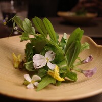 草片 - 