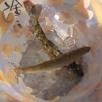 魚末あまごセンター - 