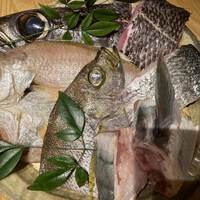 魚匠 銀平 心斎橋店 - 