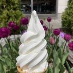 道の駅しょうわ（ブルーメッセ・あきた） - 料理写真:バニラ