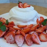 天然氷のかき氷 ひめじ官兵衛堂 - 