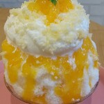 天然氷のかき氷 ひめじ官兵衛堂 - 