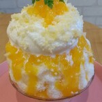 天然氷のかき氷 ひめじ官兵衛堂 - 