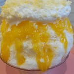 天然氷のかき氷 ひめじ官兵衛堂 - 