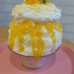 天然氷のかき氷 ひめじ官兵衛堂 - 