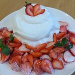 天然氷のかき氷 ひめじ官兵衛堂 - 