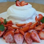 天然氷のかき氷 ひめじ官兵衛堂 - 