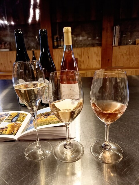 オサ ワイナリー