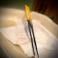 うを徳 - 箸の欠け方ひとつ取っても気になります。