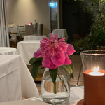 カーザ ヴィニタリア - 